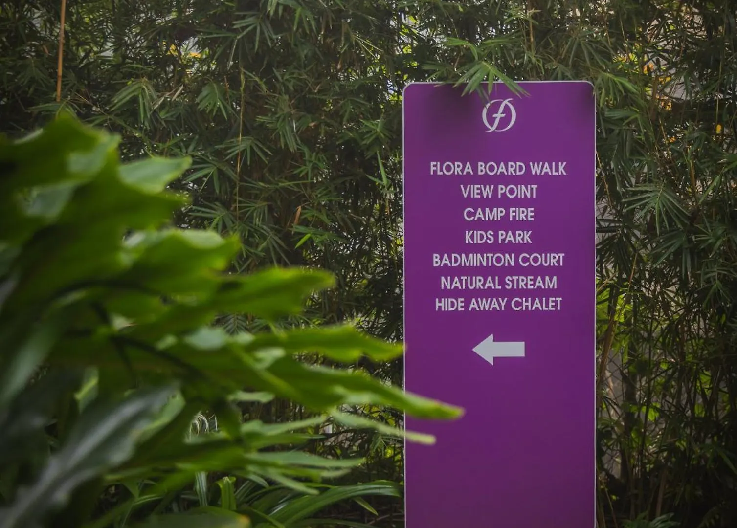 Flora Vythiri Resort