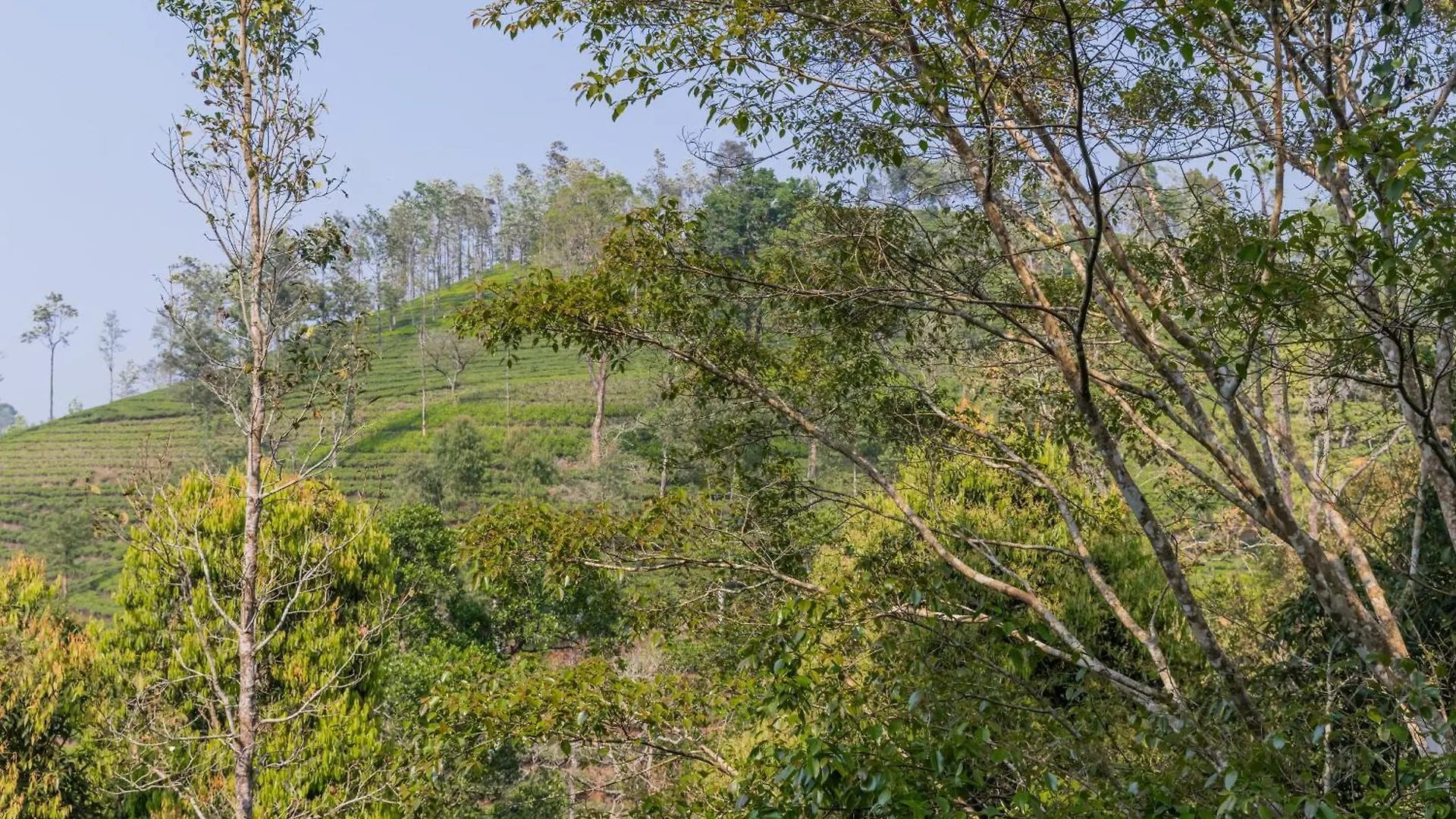 *****  Flora Vythiri Resort India
