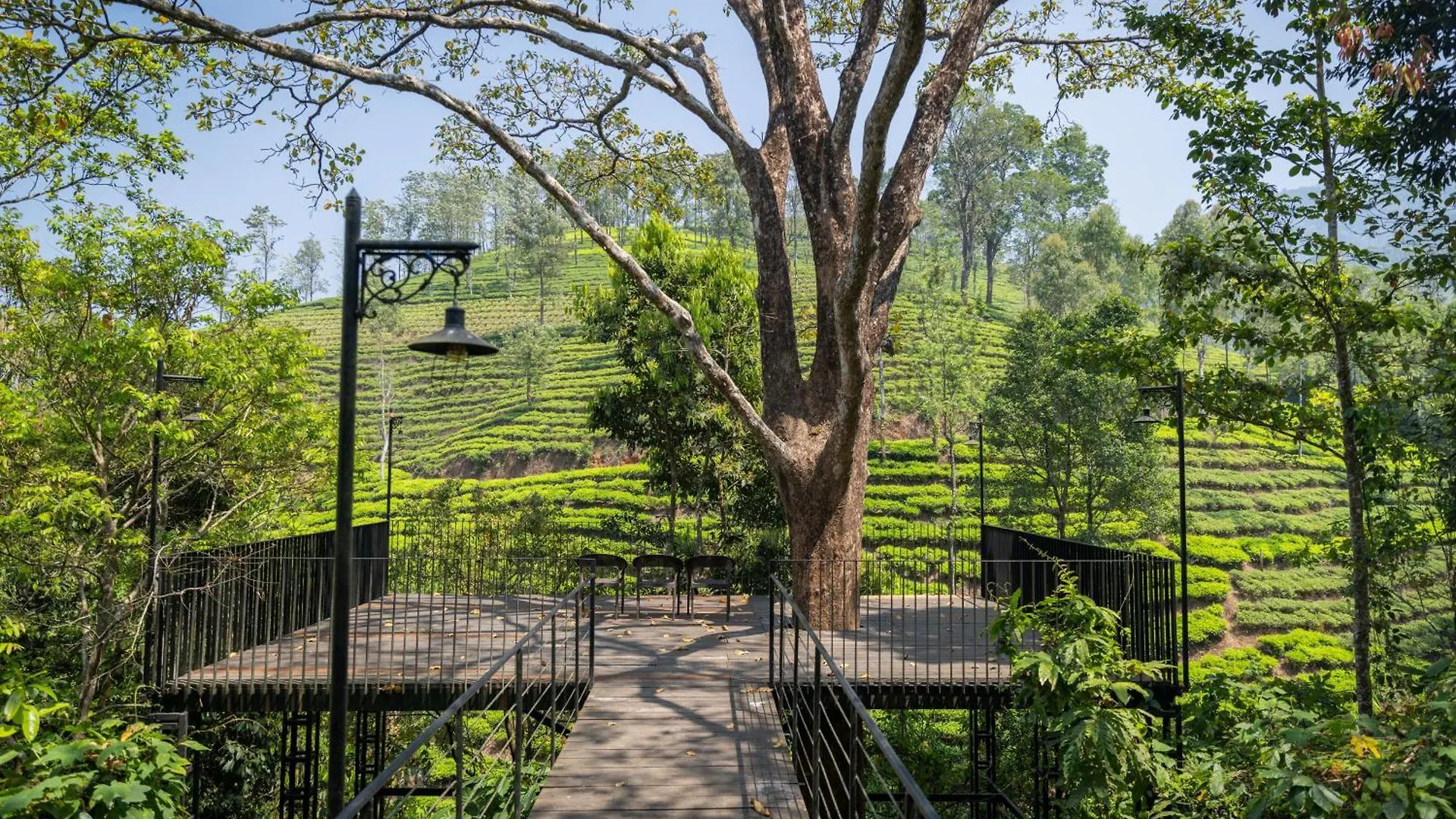 *****  Flora Vythiri Resort India